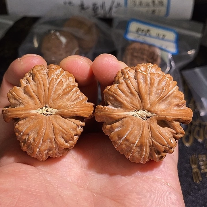 核桃手串/手链?**陈39尺白狮子红皮