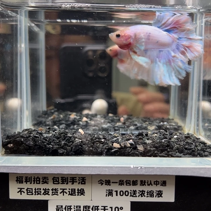 斗鱼竞拍跑单拉黑16日51