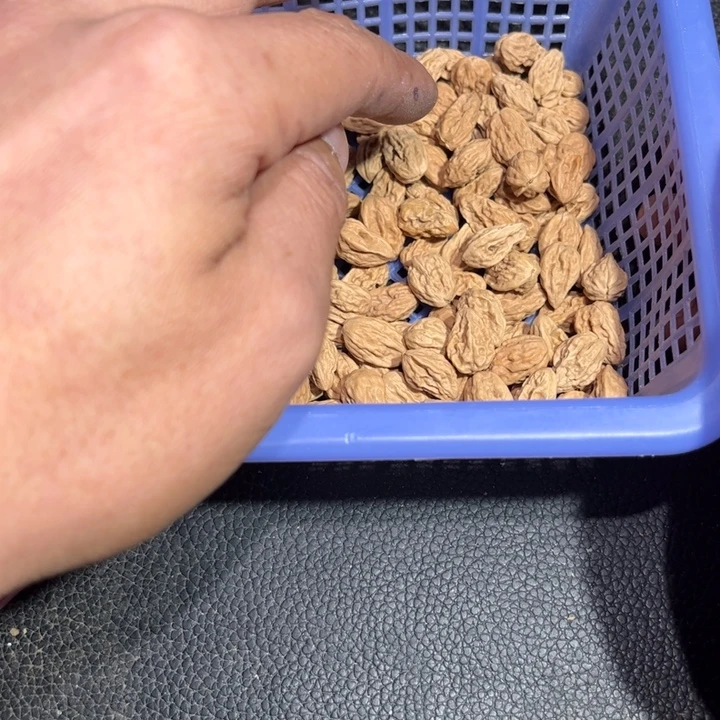 用***1吊坠桃核野生小核桃20