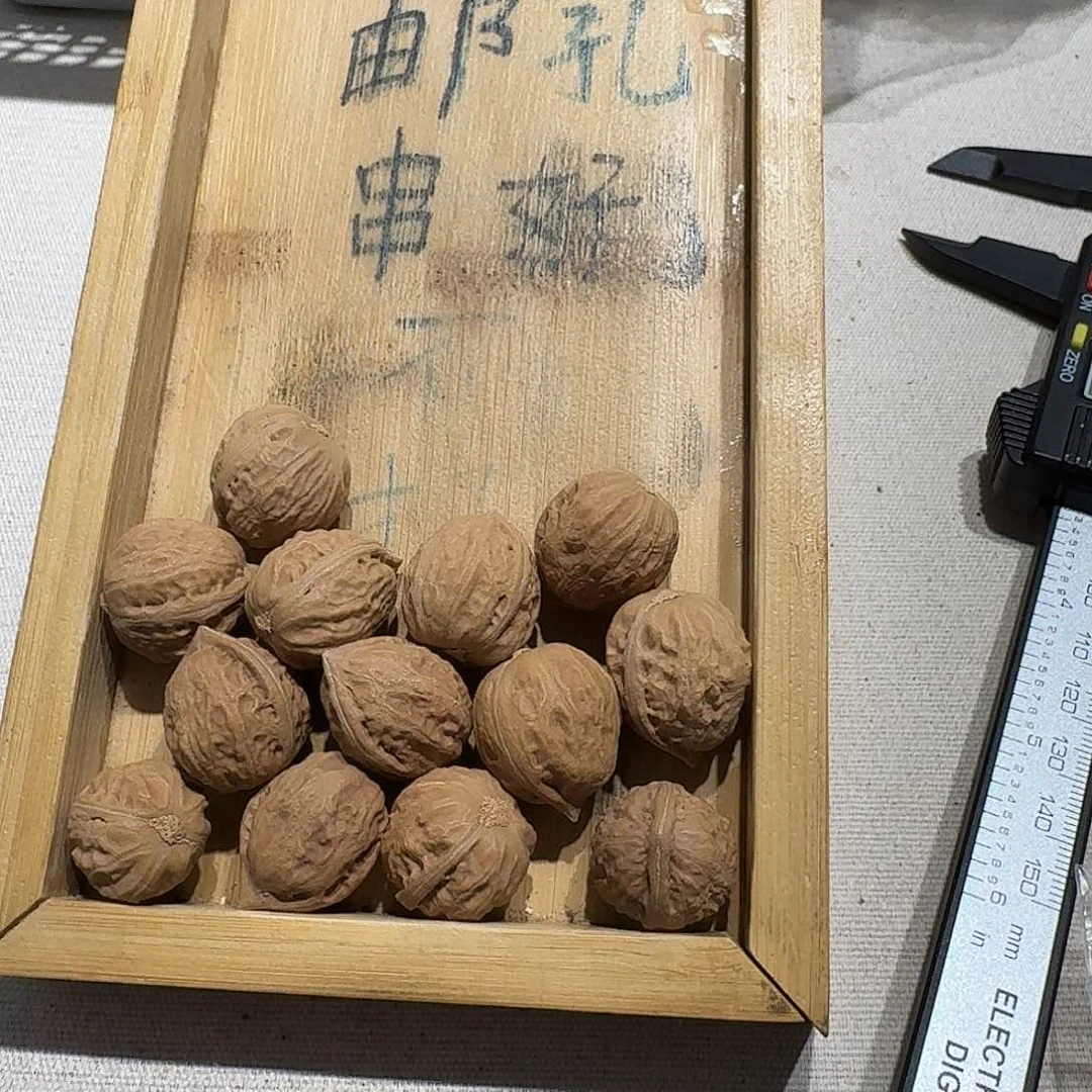 核桃手串/手链4号边19手串