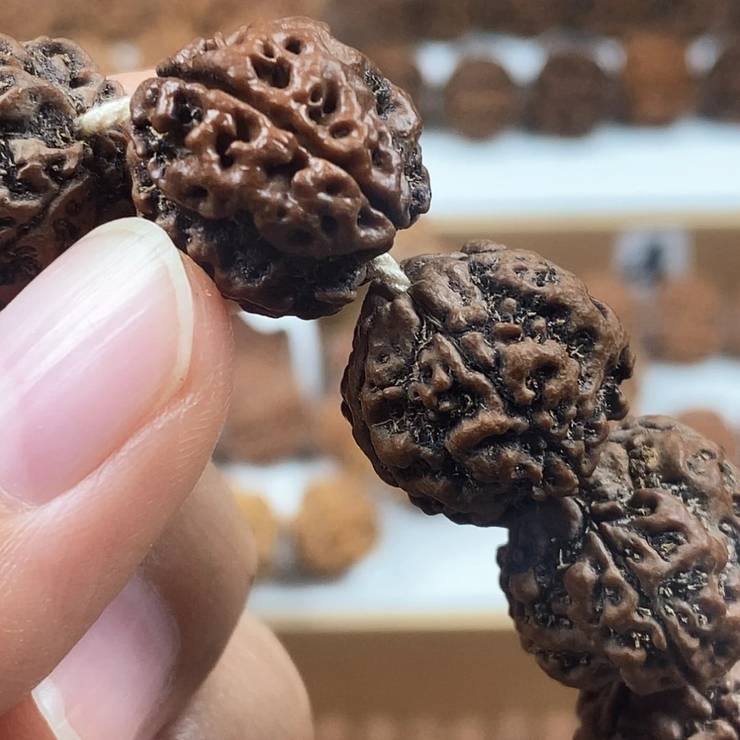 手串金刚菩提稀有4瓣粗筋双龙