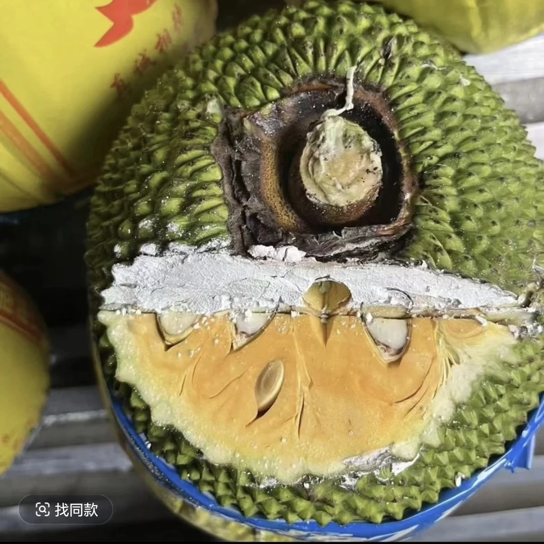 越南菠萝蜜6-12斤新鲜应季热带水果