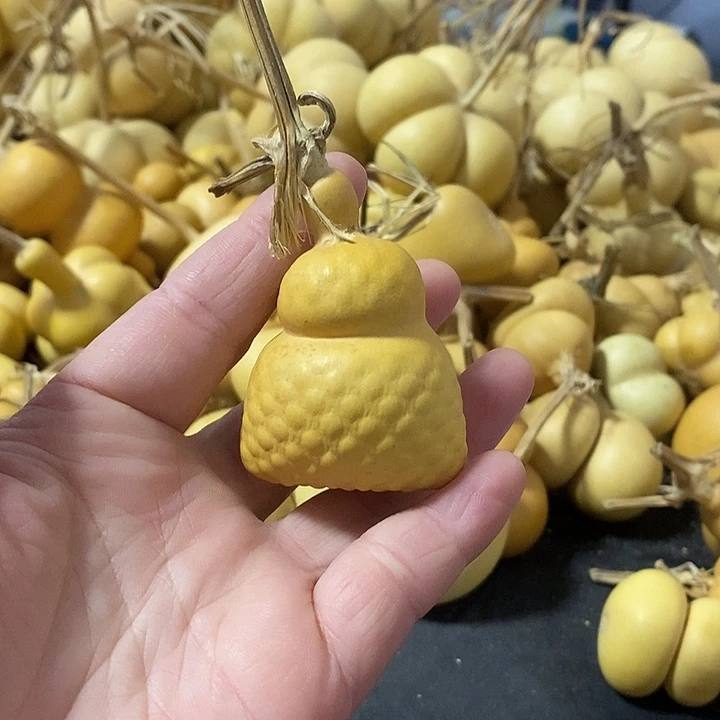 葫芦的颜色很好看