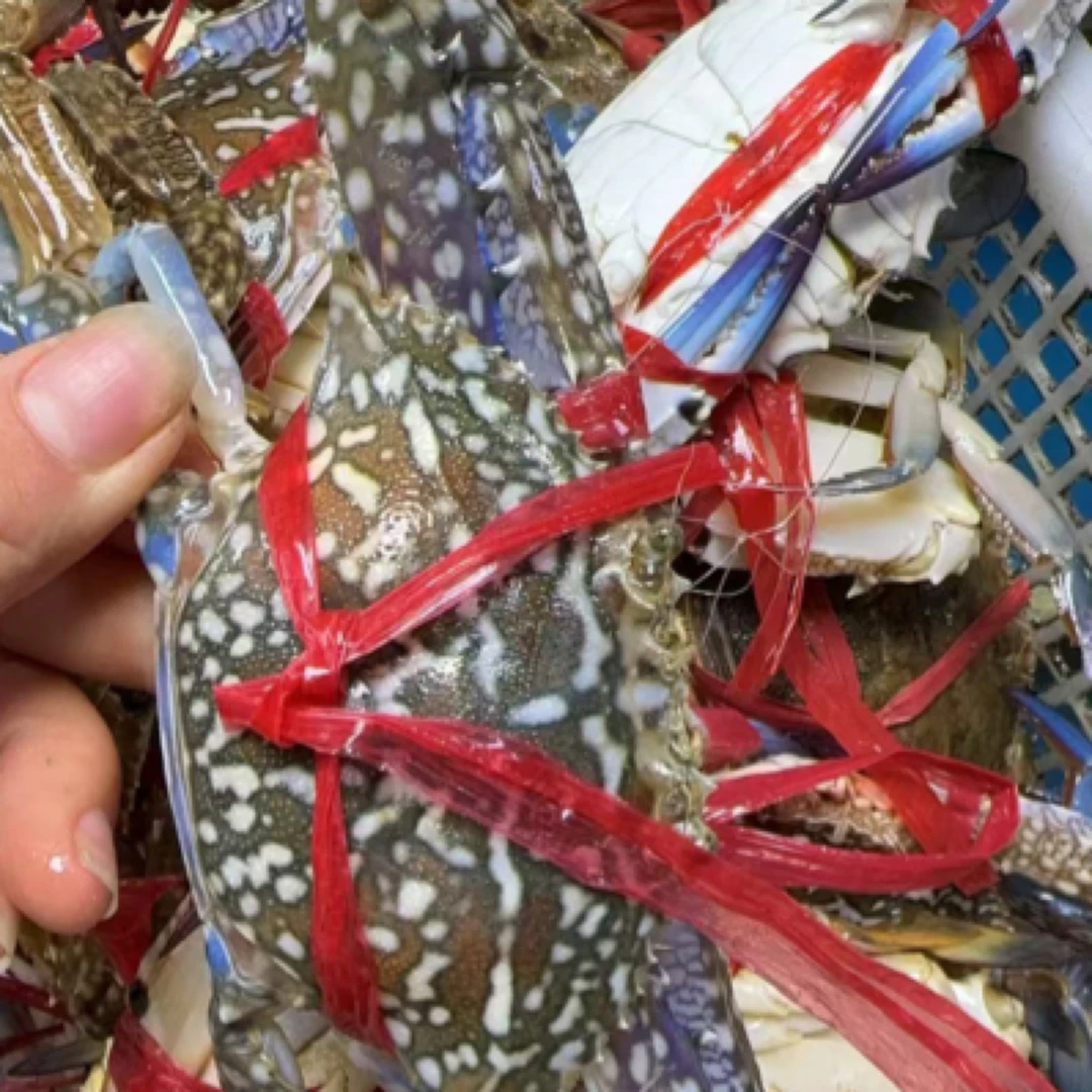 【大】福利牺牲兰花蟹3斤（介意勿拍）