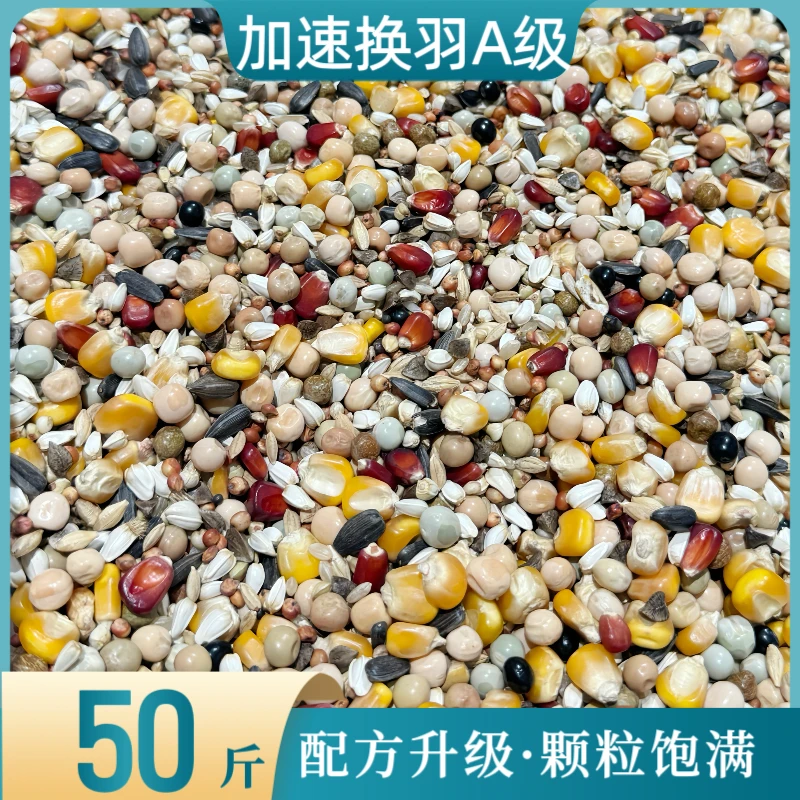 中信加速换羽A级粮50斤种鸽幼鸽肉鸽通用日常粮鸟食鸽子羽毛包邮