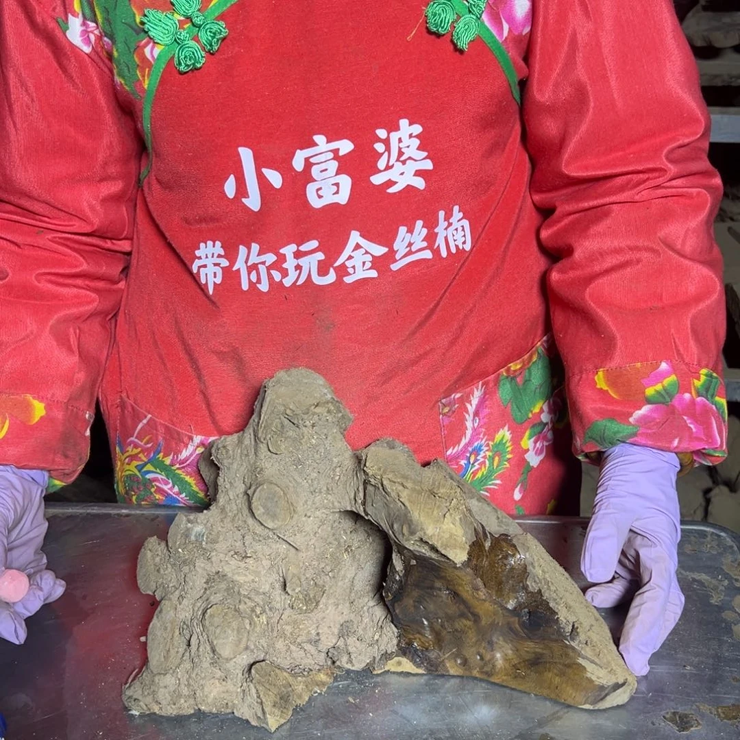 森***灵金丝楠2222222222222222222
