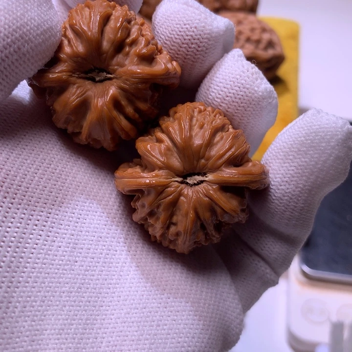 把件文玩核桃白狮子