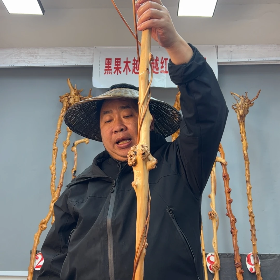 黑果木其他木*生黑果木278