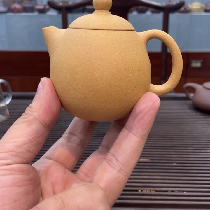 茶壶紫砂哈哈哈哈哈这个综艺节目真的是太