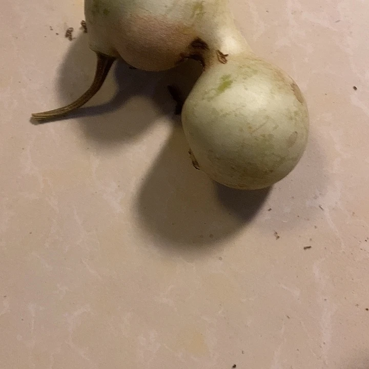 朝***望青皮腰子葫芦手把件
