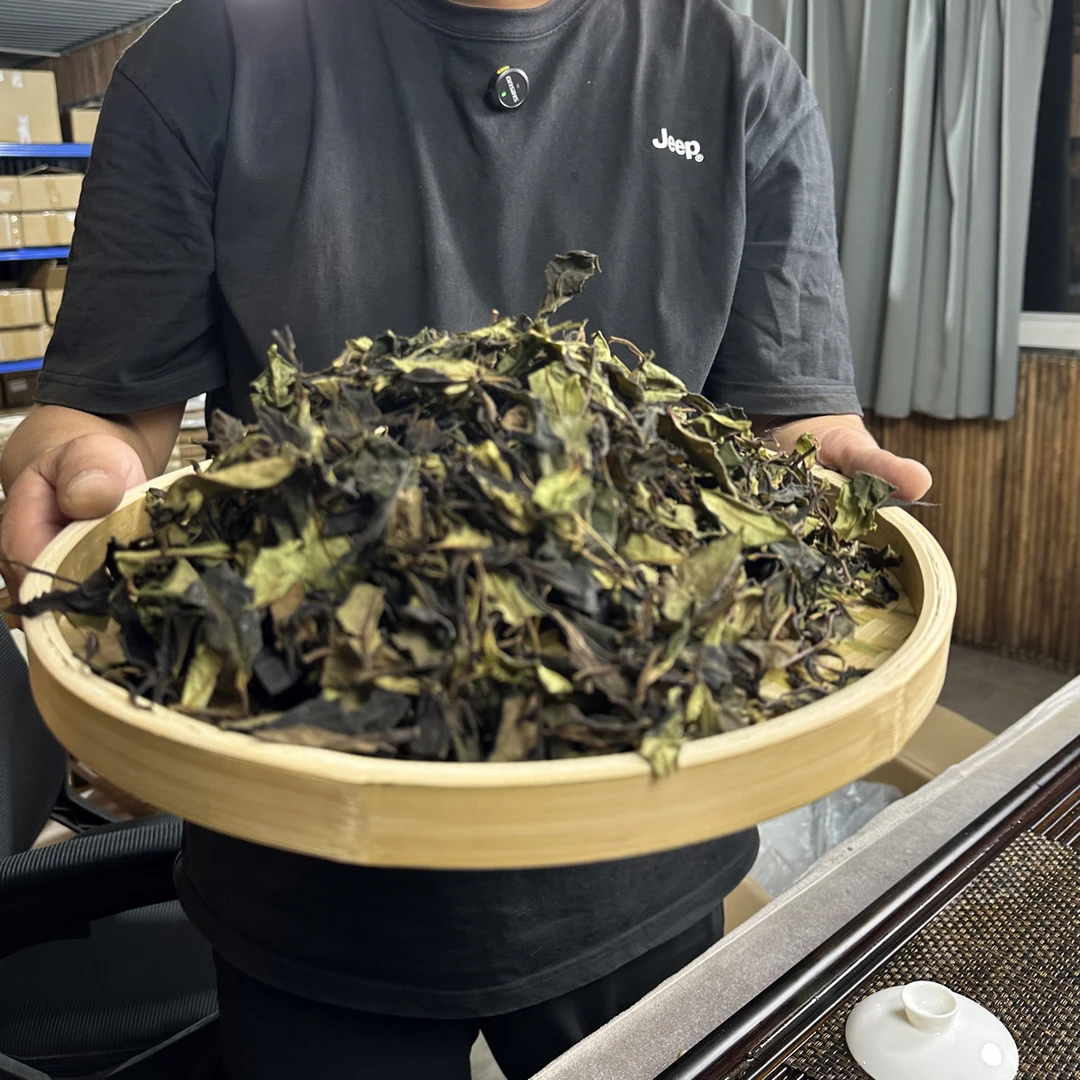 【白莺山500年以上野生古树白茶】2025年古树春茶散茶300g