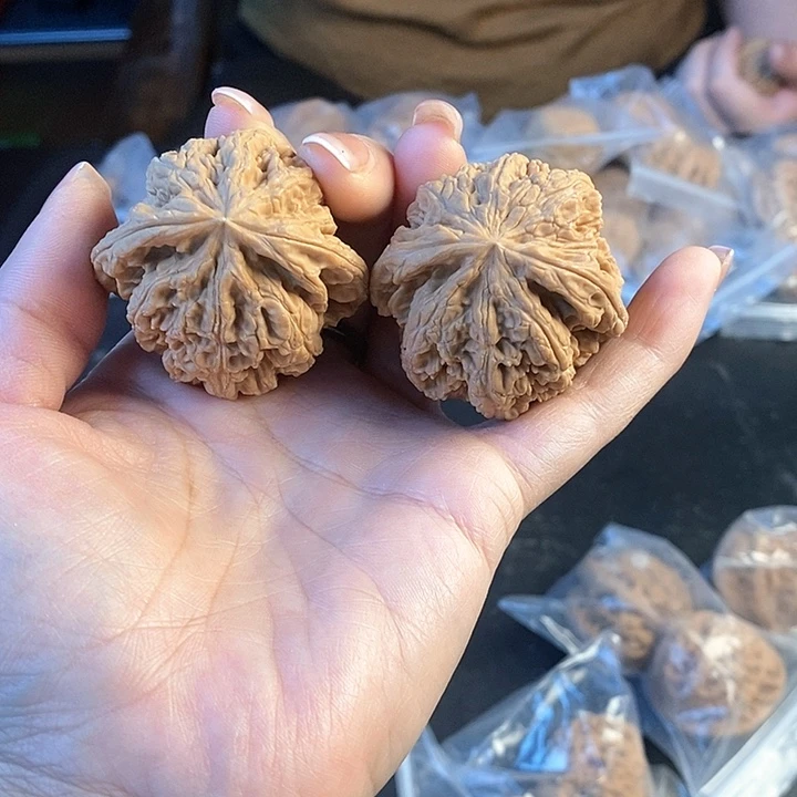 文玩核桃把件43粗筋42.8
