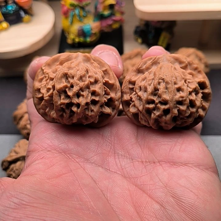 核桃山地秦公子44+尺