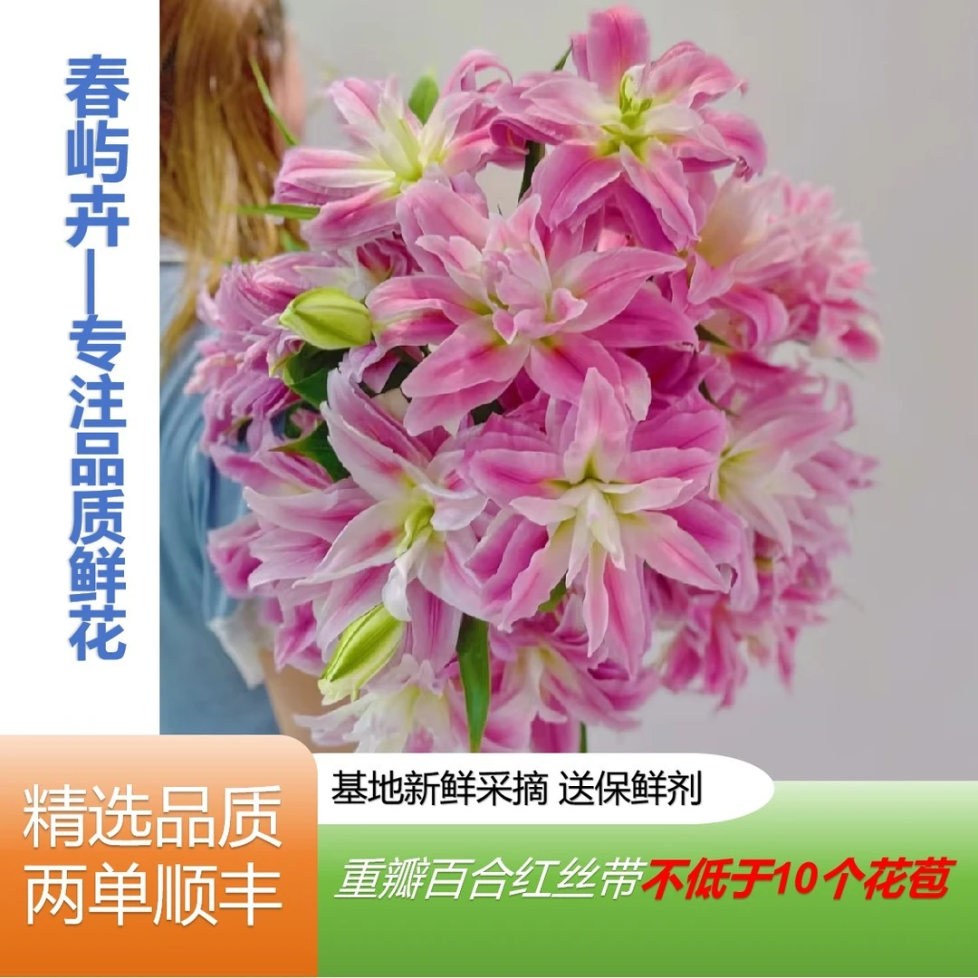 【重瓣百合红丝带 不低于10个花苞】鲜花基地直发任意两单顺丰包邮
