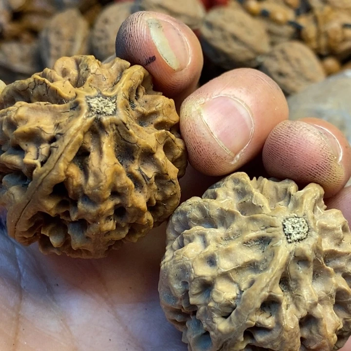 吊坠文玩核桃娜姐262