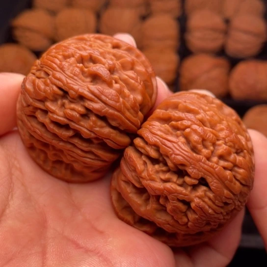 文玩核桃把件秦岭山脉核桃