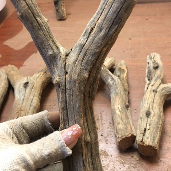 大果紫檀（缅甸花梨）凉