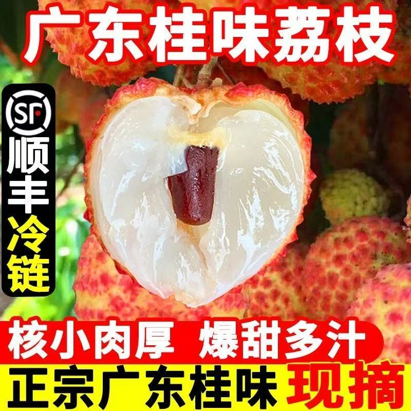 【直播福利】广东高州桂味荔枝带箱5斤装纯甜不酸顺丰冷链荔枝新鲜