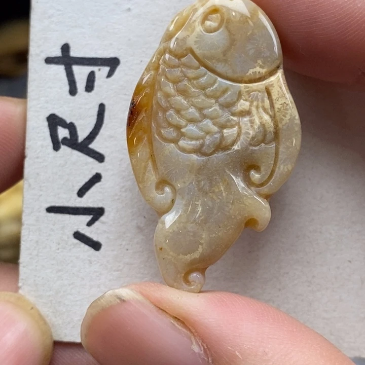 硅化珊瑚（珊瑚玉）未镶嵌颈饰