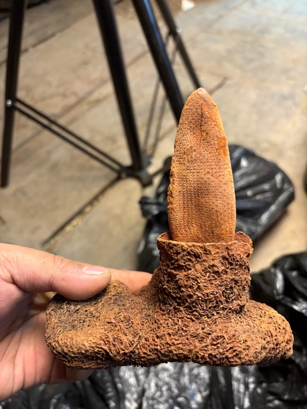 山货 250克 代链接DMQ