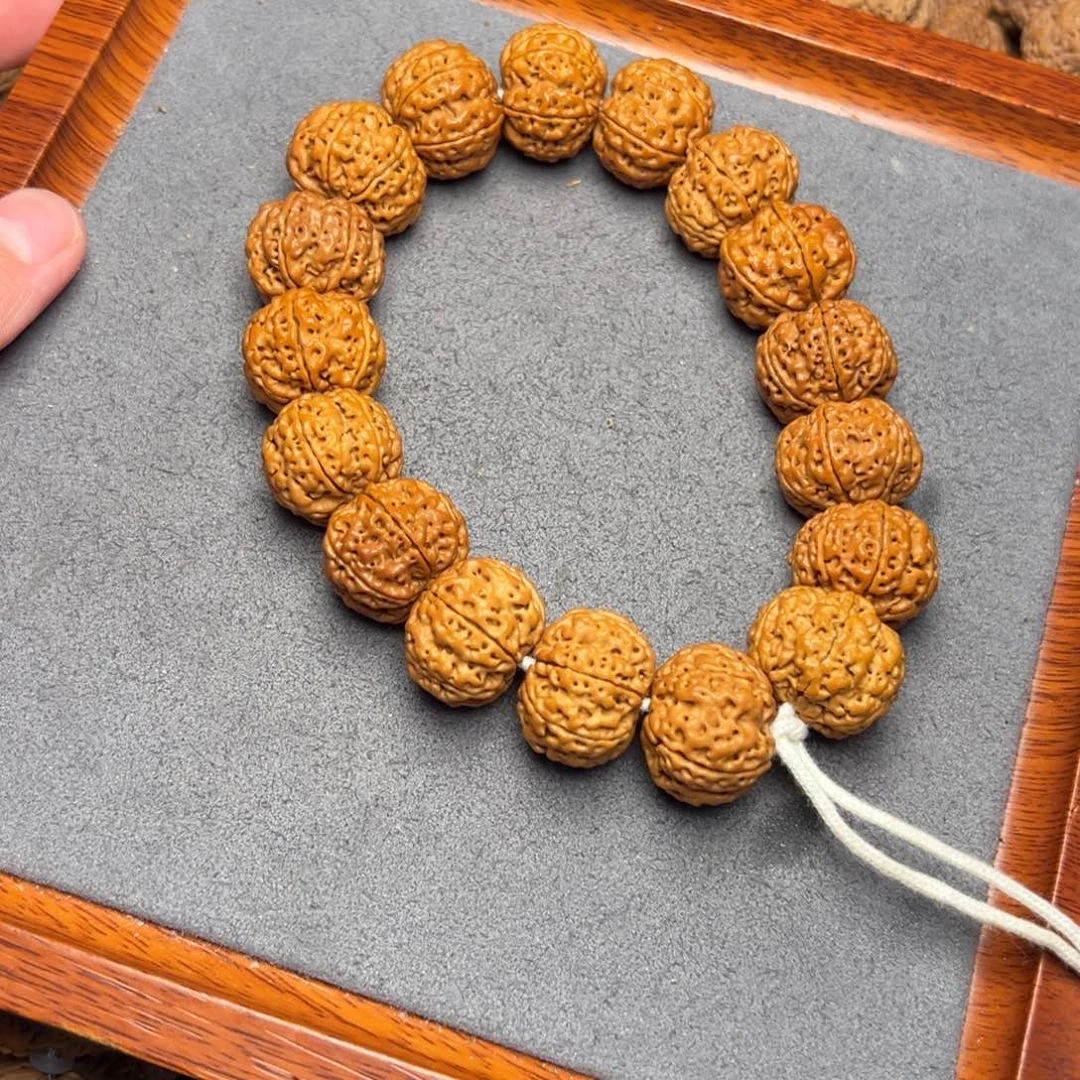 菩提10号尼泊尔大金刚19.5-20六瓣蜂窝