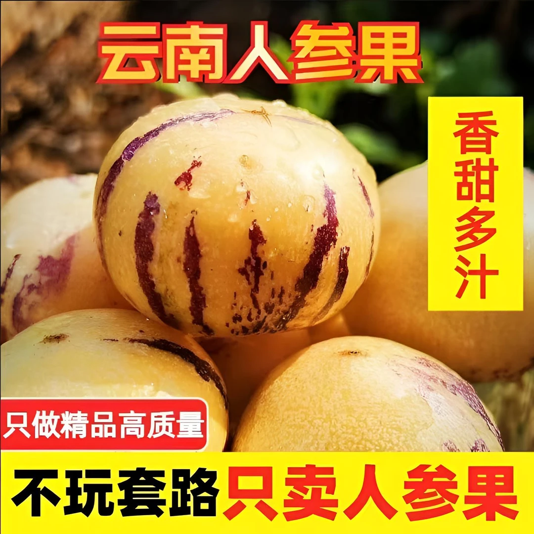 【精品园果】云南石林火山岩人参果树上熟低糖高硒产地现摘现发好吃