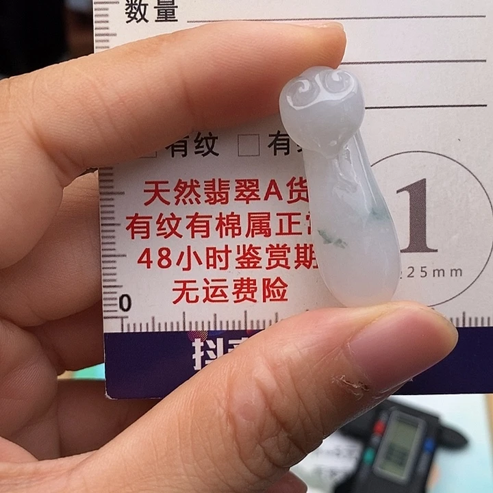 颈饰未镶嵌翡翠蛇