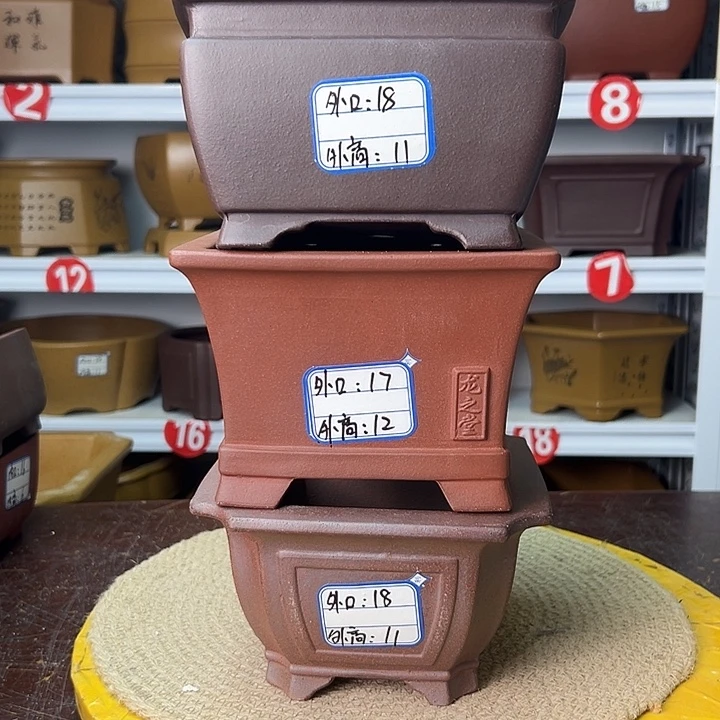 花盆紫砂你在一起