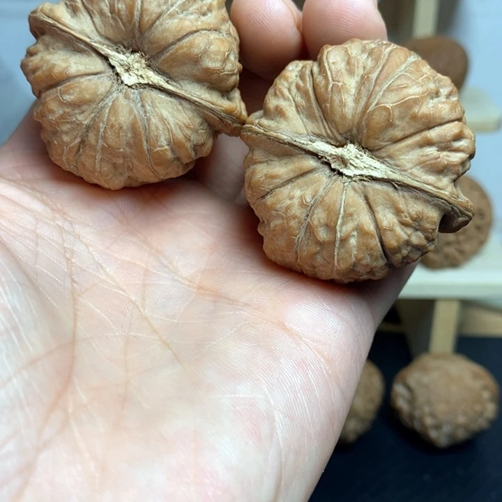 核桃44尺寸南瓜一对