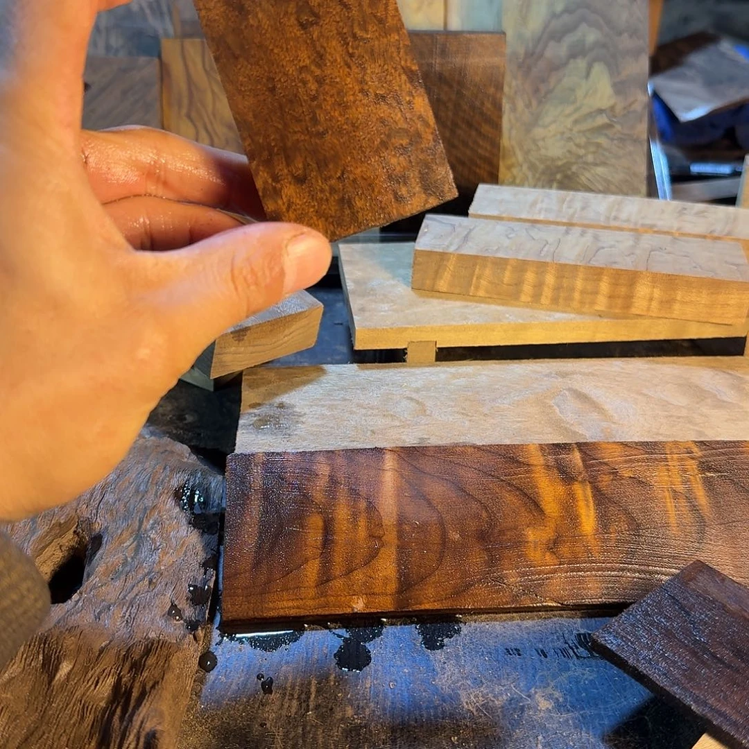 荆***迈金丝楠木小叶桢楠