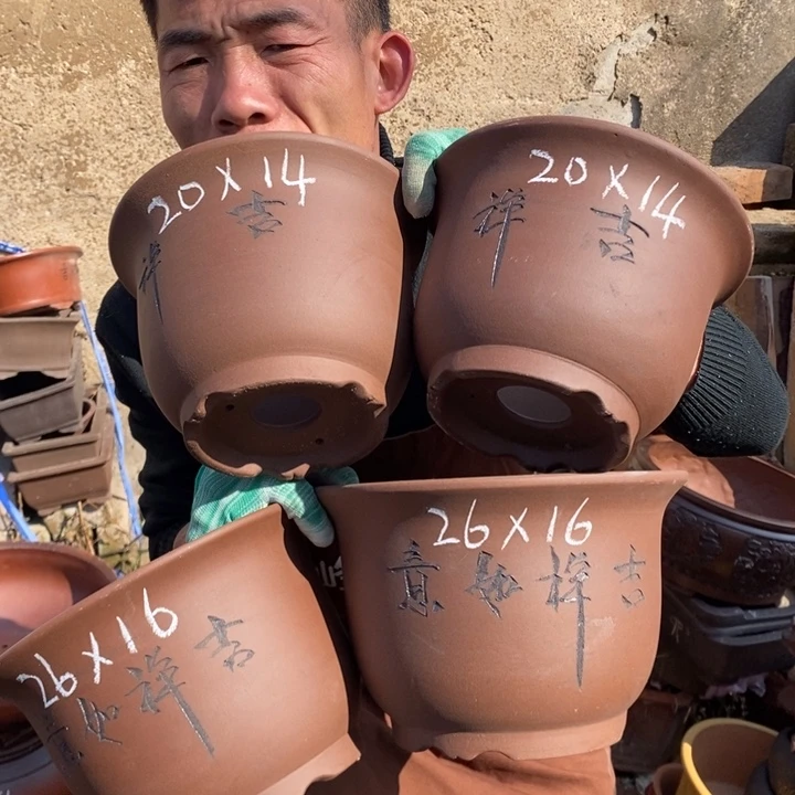 红陶这样我也可以