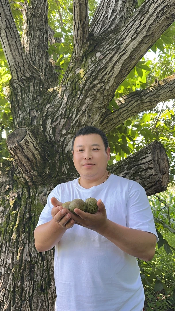 胖墩墩舅舅家老品种鲜核桃