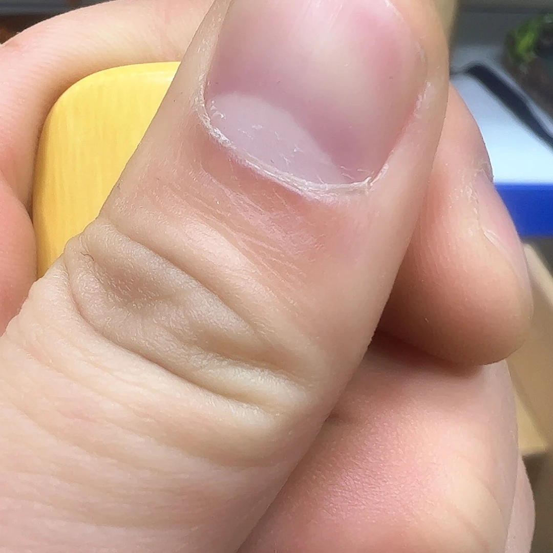 茶盏我们的生活方式是什么