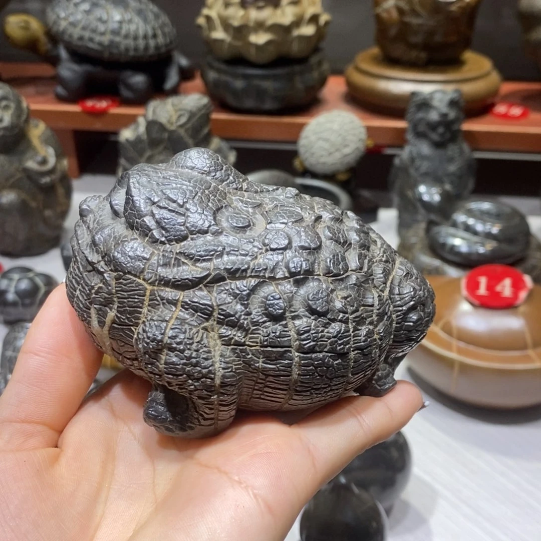 宏***哥羊羔毛龟纹石原产地直播
