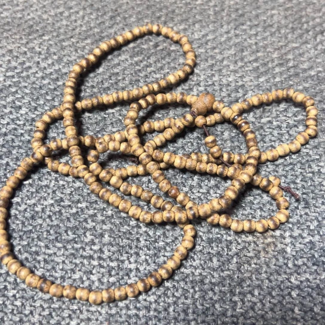 木欢迎老师们进入直播间