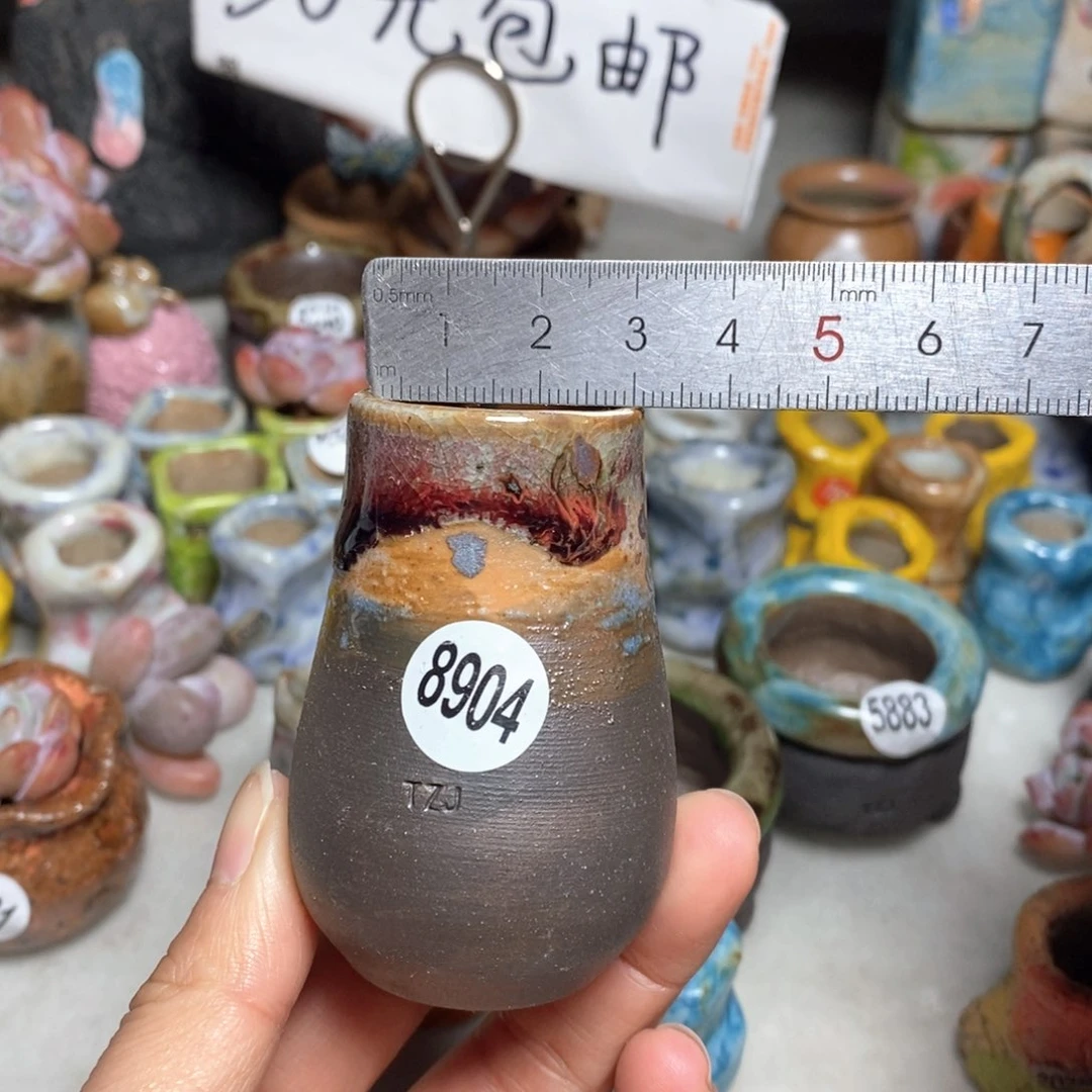拍5送一个小礼物