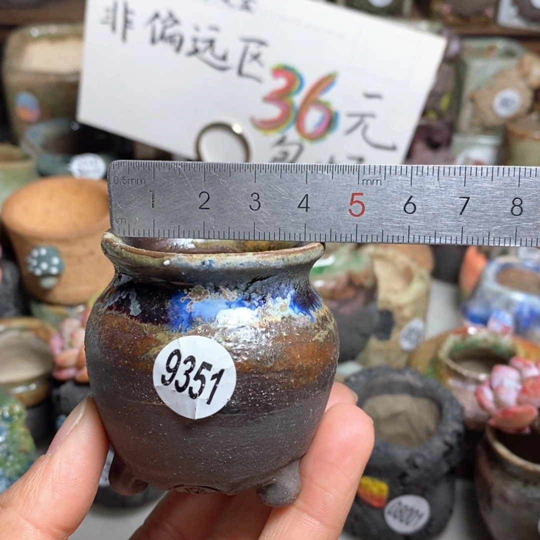 花盆拍5送一个小礼物