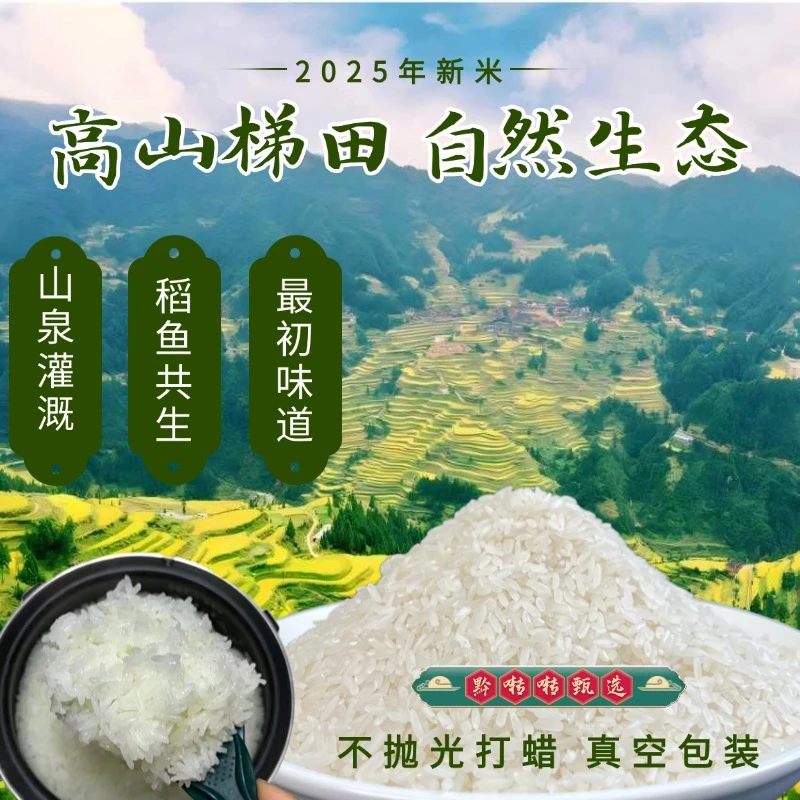 2025年新米贵州黔东南高山梯田长粒香米冷水山泉灌溉农家自种优选