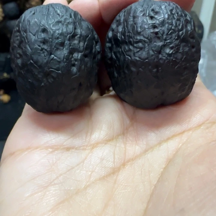 吊坠文玩核桃蛇皮球地闷