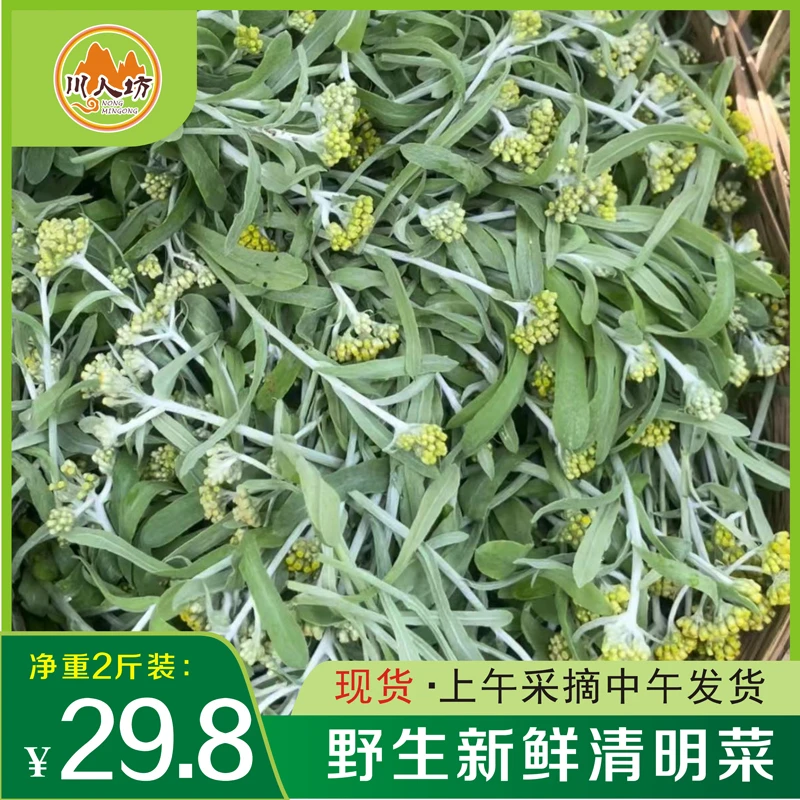 四川野生新鲜鼠曲草清明草菜现摘现发青团