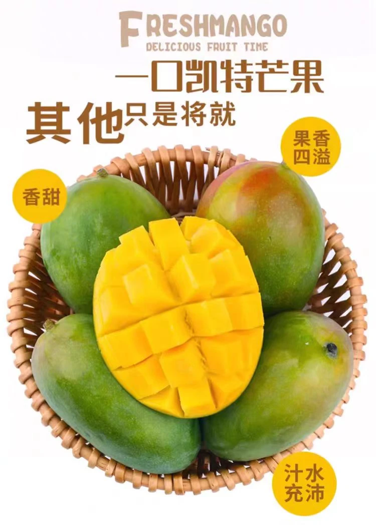 【礼盒装】四川攀枝花凯特芒新鲜水果香味浓郁现摘现发