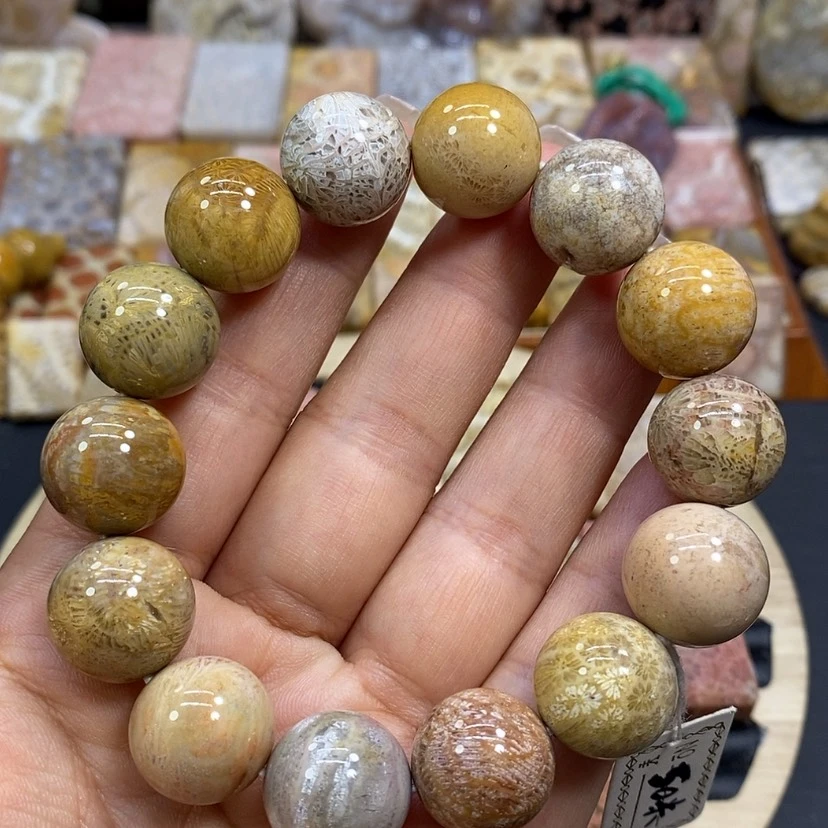 【闪购商品】硅化珊瑚（珊瑚玉）颈饰未镶嵌K5