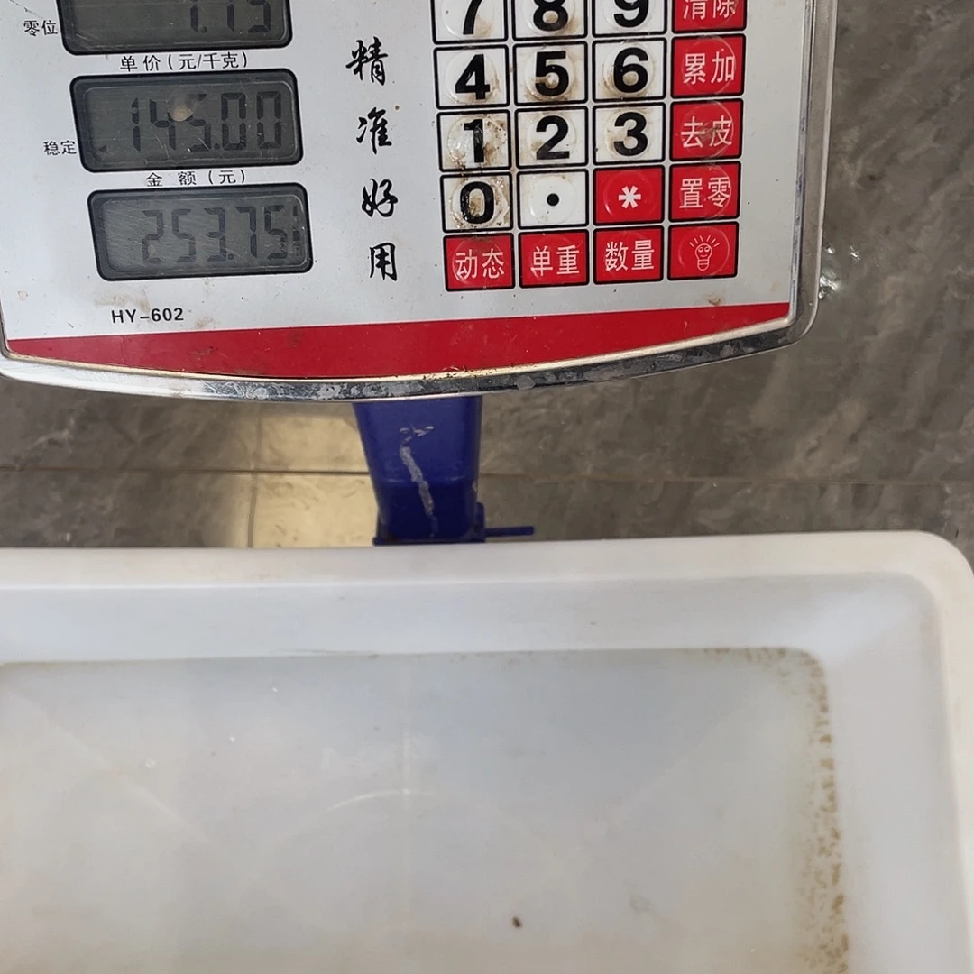 中国大陆12345678