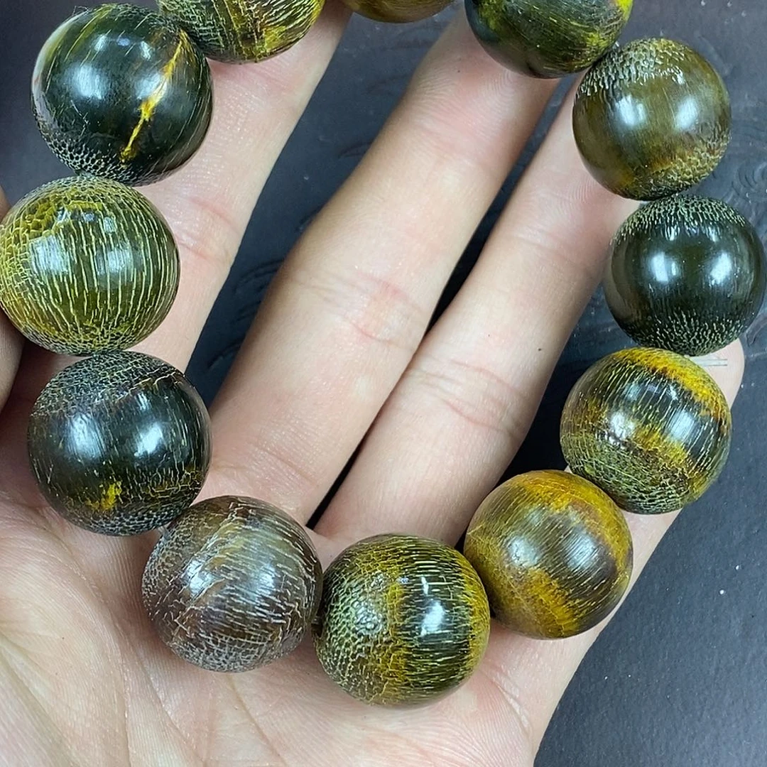 驼骨其他2.0尺寸牛角,100