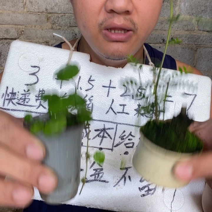 退款拉黑一物一拍25