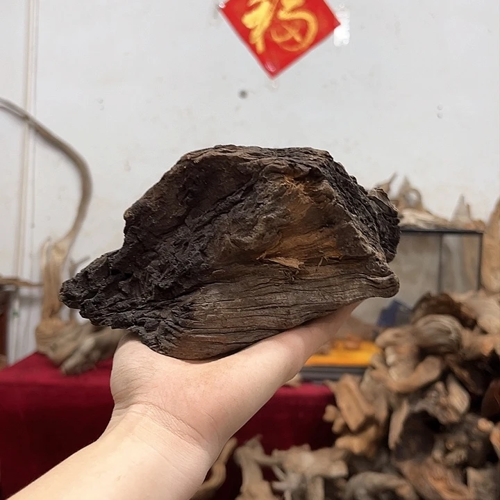 柏木静**光我们的生活是以自己为