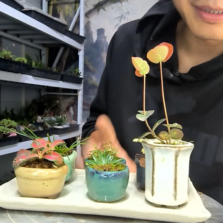 北**拳中青园艺一物一拍18