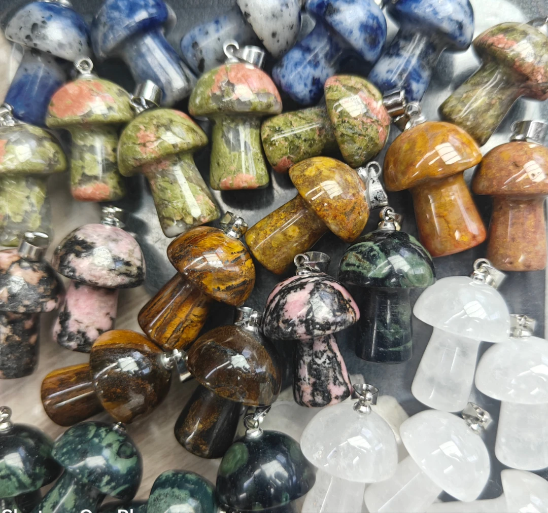 幻彩七色蘑菇多样性随机发一个