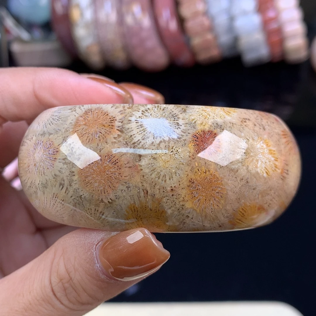 【闪购商品】颈饰未镶嵌硅化珊瑚（珊瑚玉）镯饼可做59以下圈（41号）