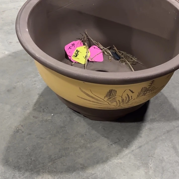 紫砂花盆                  160-2